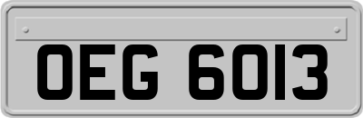 OEG6013