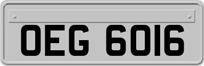 OEG6016