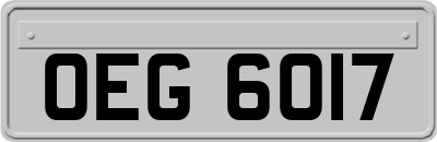 OEG6017