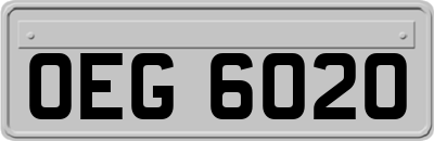 OEG6020