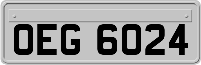 OEG6024