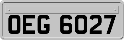 OEG6027