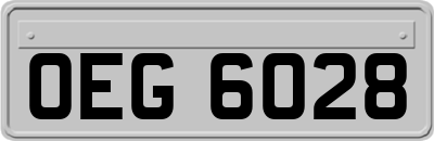 OEG6028