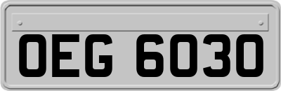 OEG6030