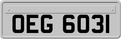 OEG6031