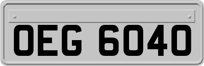 OEG6040