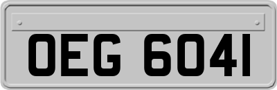 OEG6041