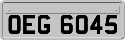 OEG6045