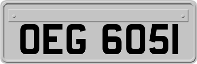 OEG6051