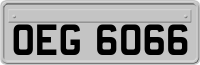 OEG6066