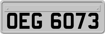 OEG6073