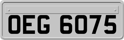 OEG6075