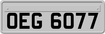 OEG6077
