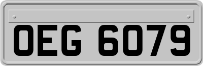OEG6079