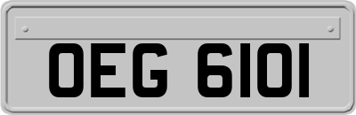 OEG6101