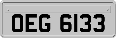 OEG6133