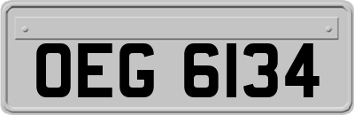 OEG6134
