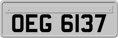 OEG6137
