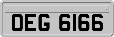 OEG6166