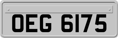 OEG6175