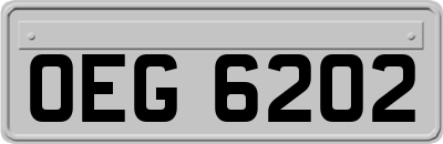 OEG6202