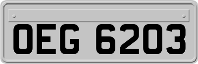 OEG6203