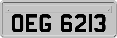 OEG6213