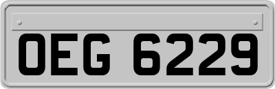 OEG6229