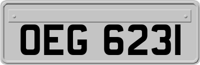 OEG6231