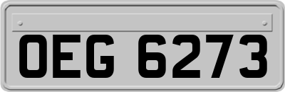 OEG6273