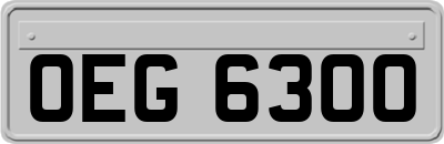 OEG6300