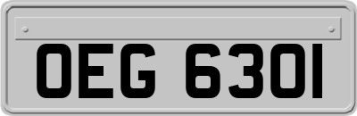 OEG6301