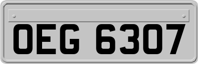 OEG6307