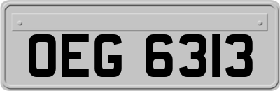 OEG6313