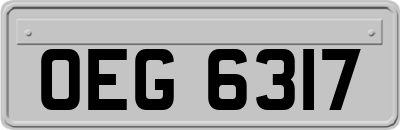 OEG6317