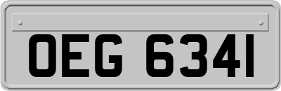 OEG6341