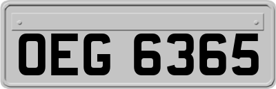 OEG6365
