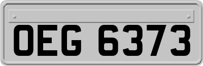 OEG6373