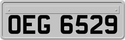 OEG6529