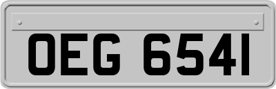 OEG6541