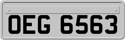 OEG6563