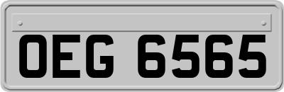 OEG6565