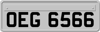 OEG6566