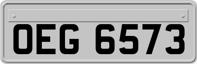 OEG6573