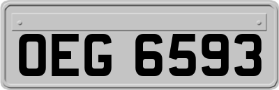 OEG6593