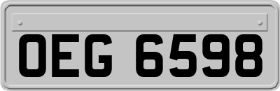 OEG6598