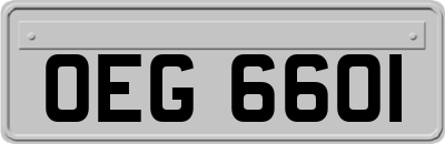 OEG6601