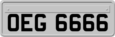 OEG6666