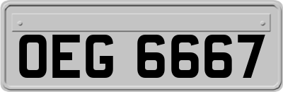 OEG6667