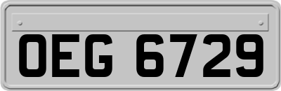 OEG6729